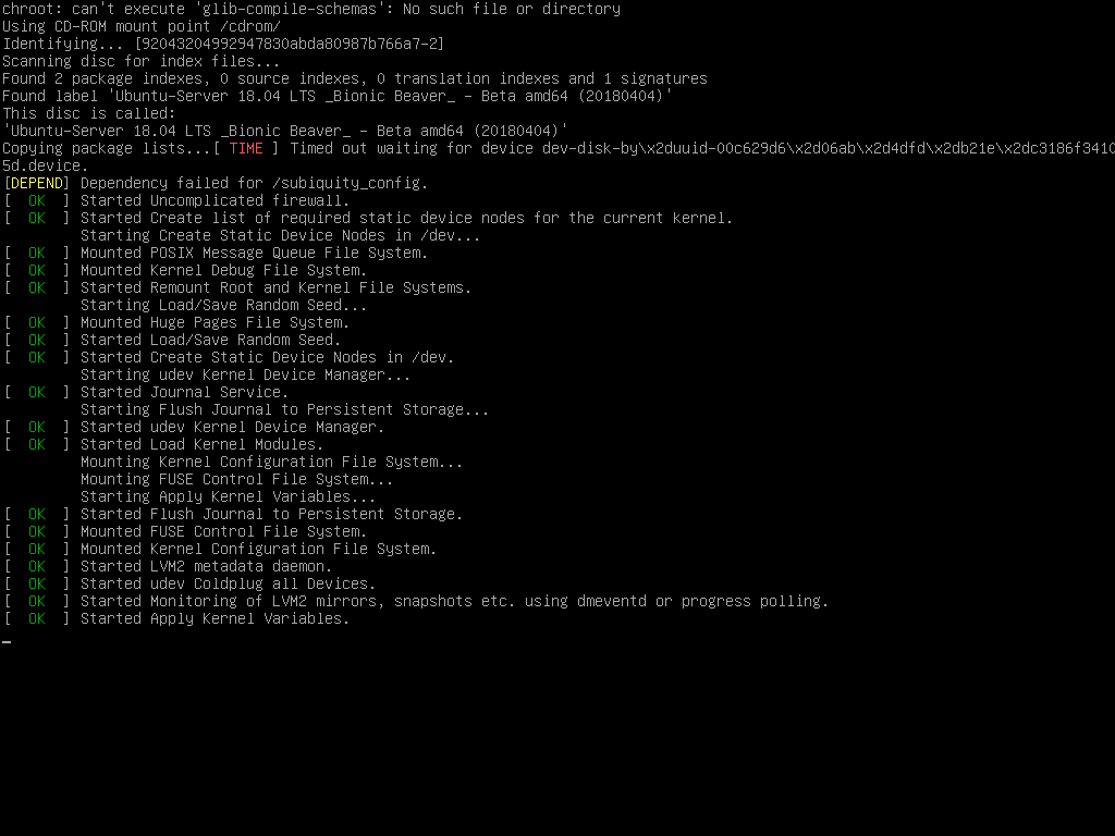 The Raspberry Pi console during first boot, printing systemd [ OK ] lines as it mounts filesystems, starts the firewall and loads kernel modules.