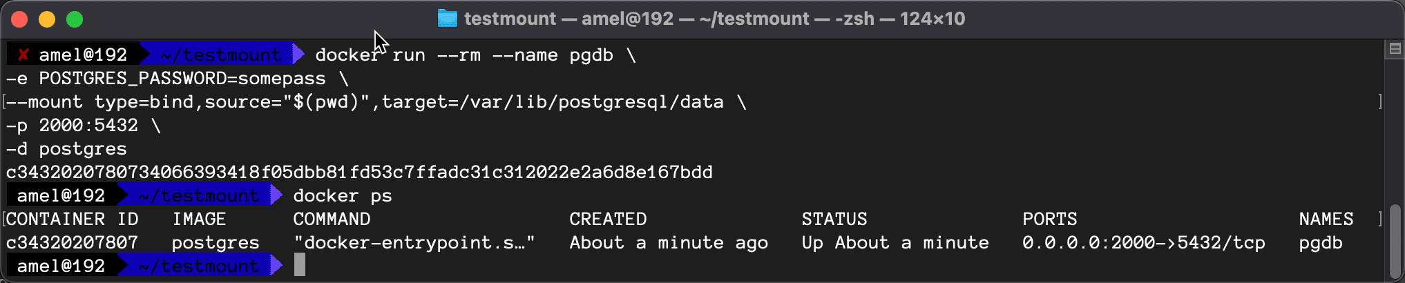 A macOS terminal in ~/testmount running the docker run command for the pgdb Postgres container with a bind mount, then docker ps showing it Up with ports 0.0.0.0:2000->5432/tcp.