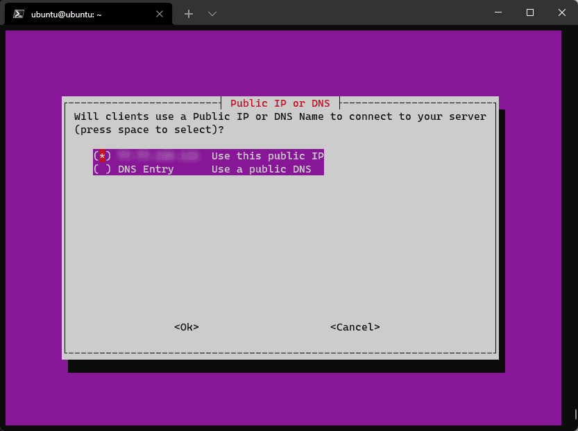 The PiVPN installer's "Public IP or DNS" dialog, with the "Use this public IP" option selected rather than a DNS entry.