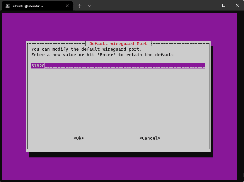 The PiVPN installer's "Default wireguard Port" dialog with 51820 in the input field.