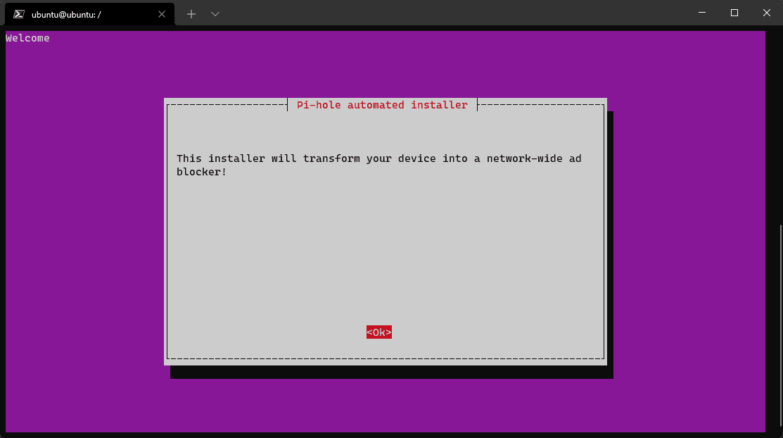 The Pi-hole automated installer's welcome dialog: "This installer will transform your device into a network-wide ad blocker!"