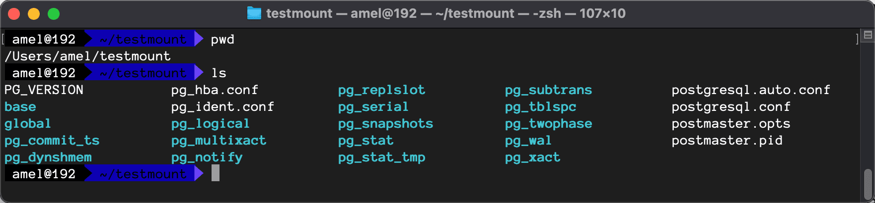 A terminal in /Users/amel/testmount running ls, listing the PostgreSQL data directory the bind mount created on the host: PG_VERSION, base, global, pg_wal, postgresql.conf, postmaster.pid and the rest.